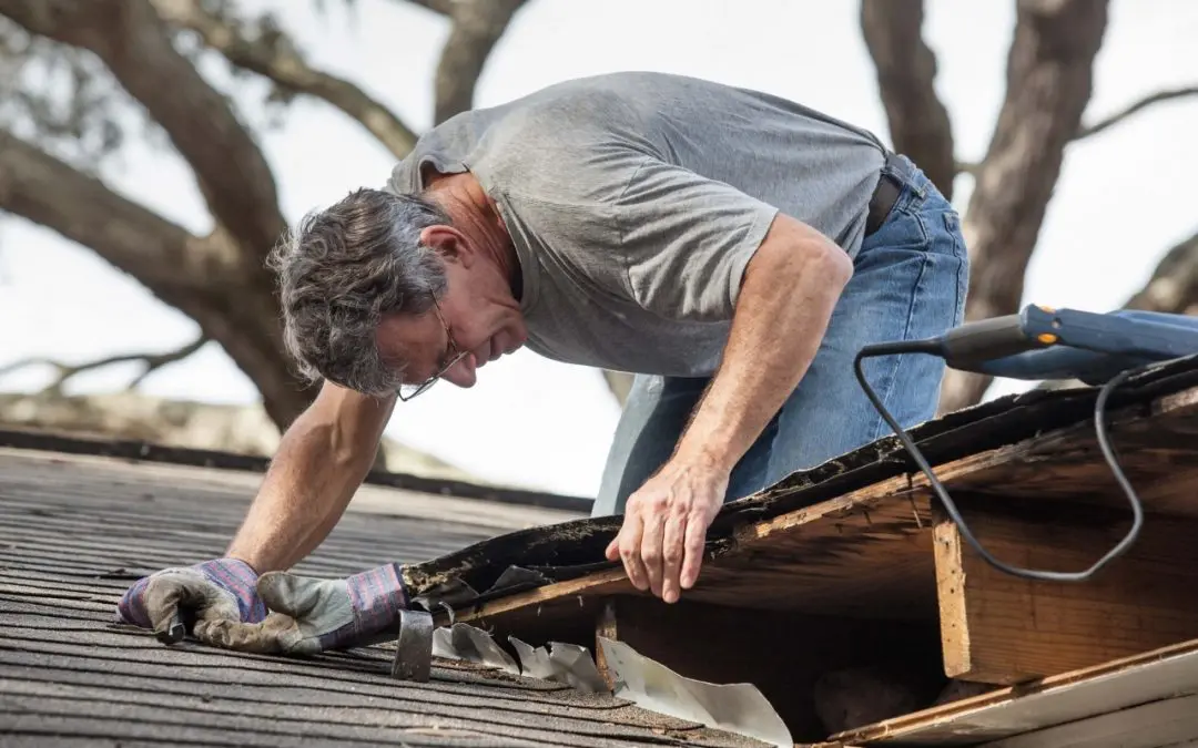 yearly roof maintenance