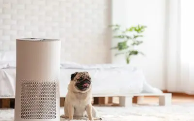 4 Updates to Boost Wellness at Home