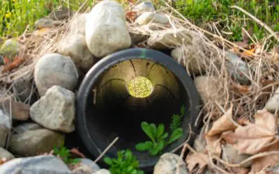 5 Ways to Improve Drainage on Your Property