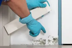 Control Mold Growth in Home