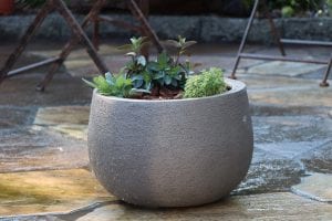 update your patio with potted plants