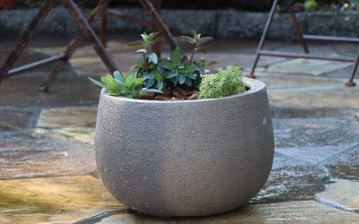 Quick and Easy Ways to Update Your Patio