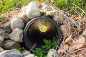 improve drainage on your property